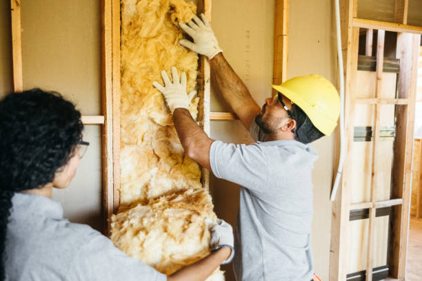 Reliable Belle Rose, LA Insulation Installation & Removal Solutions